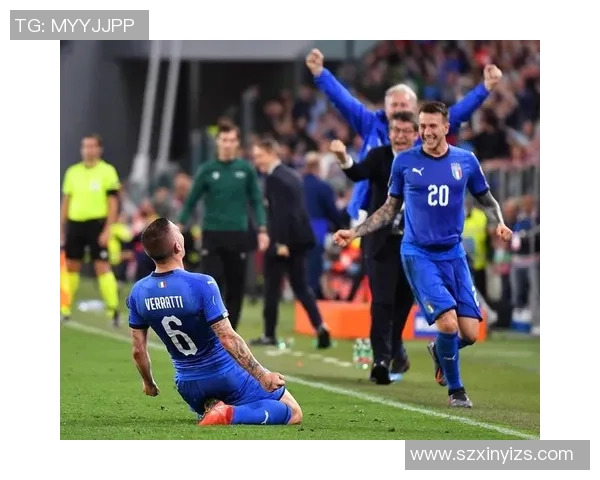 武汉网球队在欧锦赛上的拼搏历程与荣耀时刻的特别报道